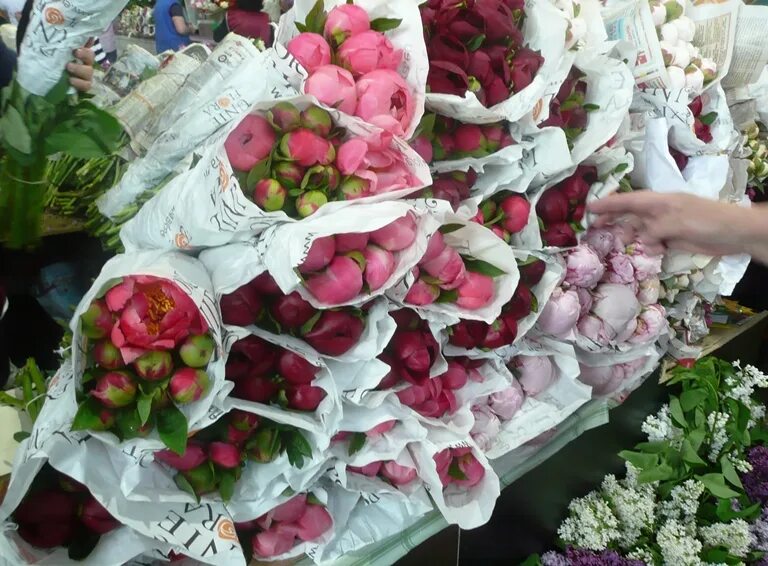 Рижский рынок цены на цветы 2024. Пионы на Рижском рынке. Рижский рынок кустовые розы. Букеты на рынке.
