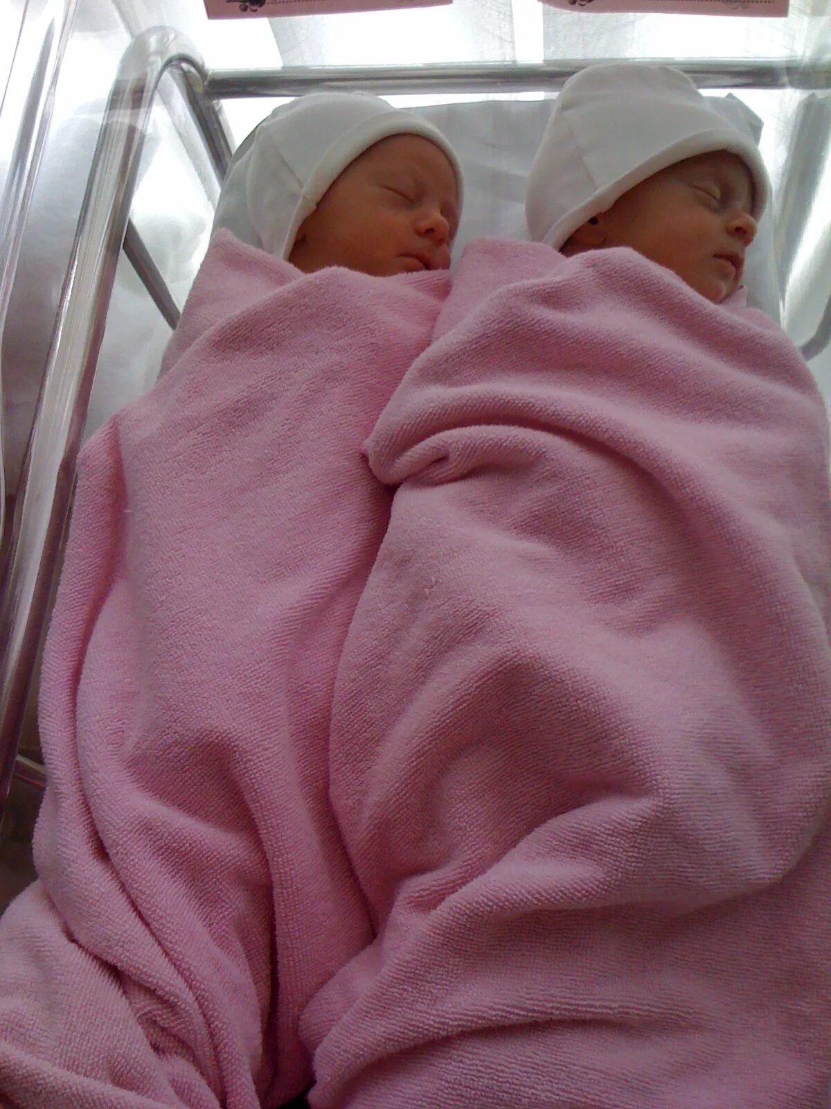 Младенцы двойняшки в роддоме. Новорождённые двойняшки в роддоме. Новорождённые двойняшки в роддоме. Новорожденные близнецы девочки в роддоме. Двойня роддом.