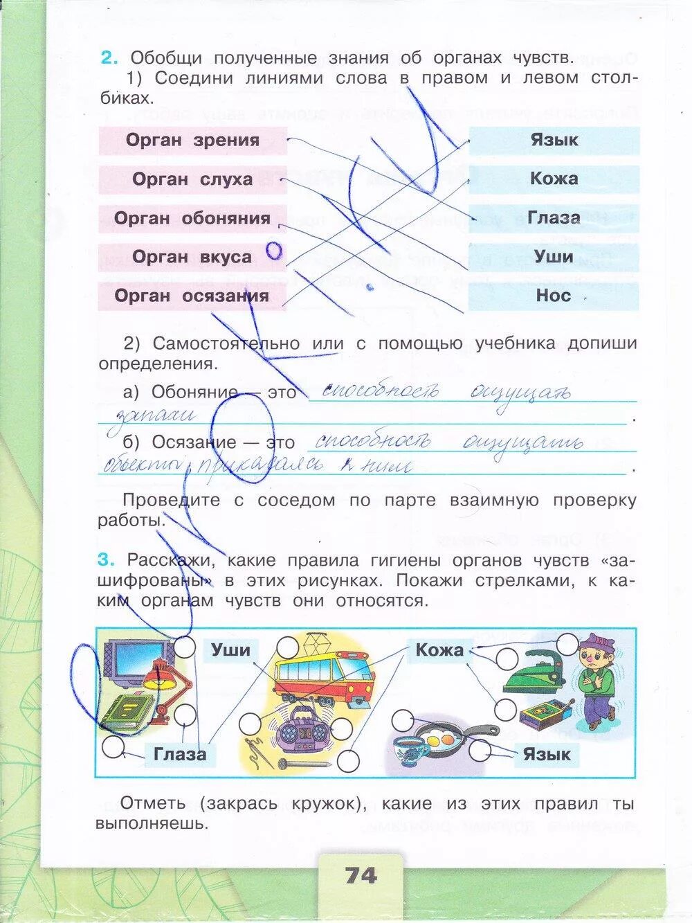 Домашнее задание по окружающему миру страница 29. Окружающий мир 3 класс рабочая тетрадь Плешаков стр 74. Гдз по окружающему миру 3 класс рабочая тетрадь 1 часть стр 74. Окружающий мир 3 класс рабочая тетрадь Плешаков 74 страница. Стр 74 окружающий мир 3 класс рабочая тетрадь стр 74.