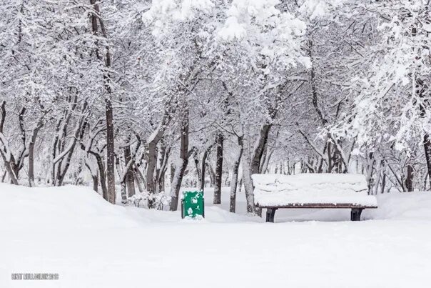 Снег 6. В японии выпал снег 2022. Снег 6. 06. 06.