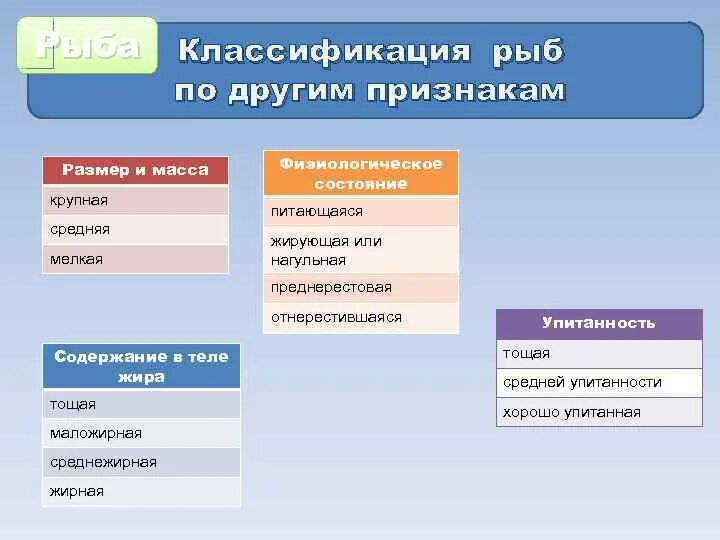 Класс рыбы классификация. Классификация рыб схема. Классификация рыб систематика рыб. Систематика рыб схема. Классификация рыб класс