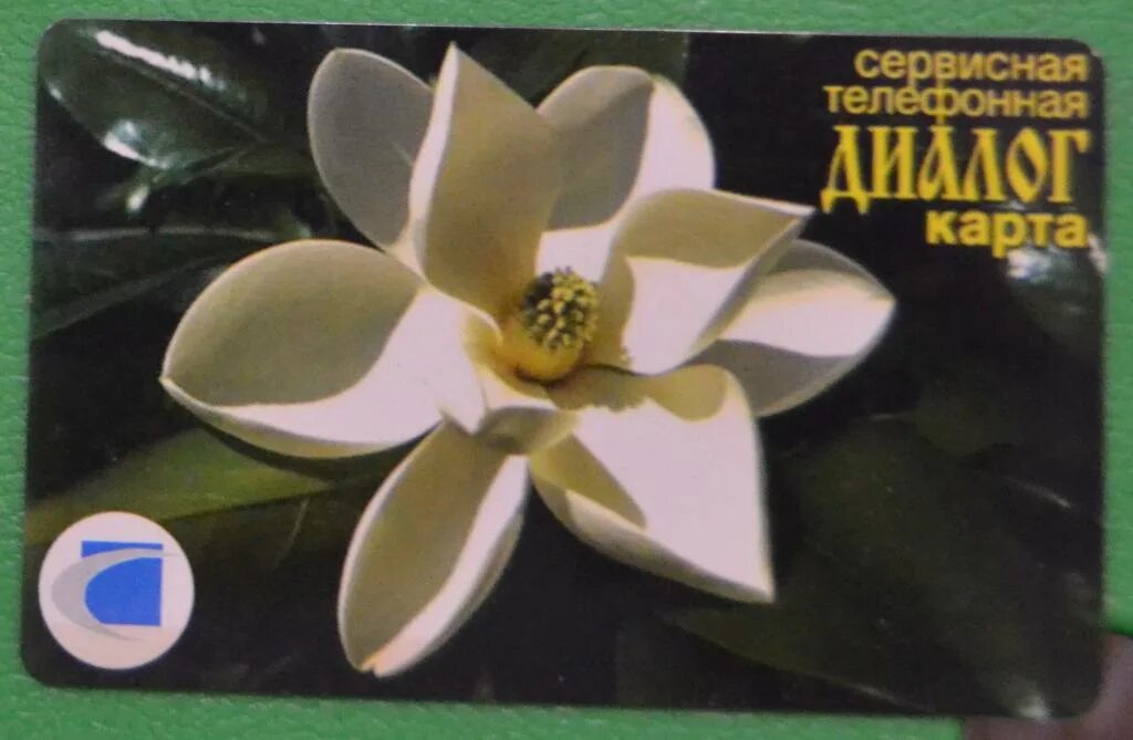 Карта магнолии. Карта магнолия. карта магнолия авито. сочиэлектросвязь карта. карта магнолии свежая.