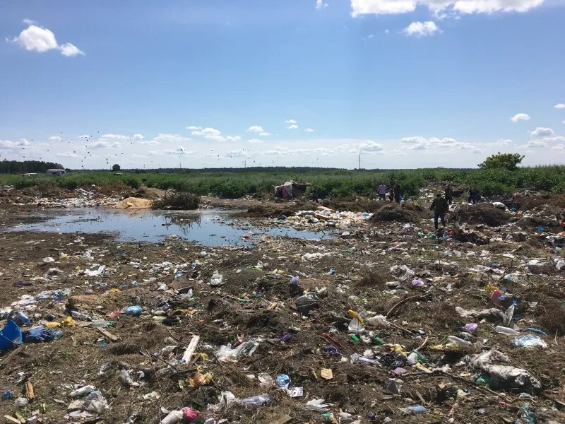 Экологическая обстановка в Алтайском крае. Алтайский край загрязнение отходами. Экологические проблемы Алтая. Окружающая среда алтайского края