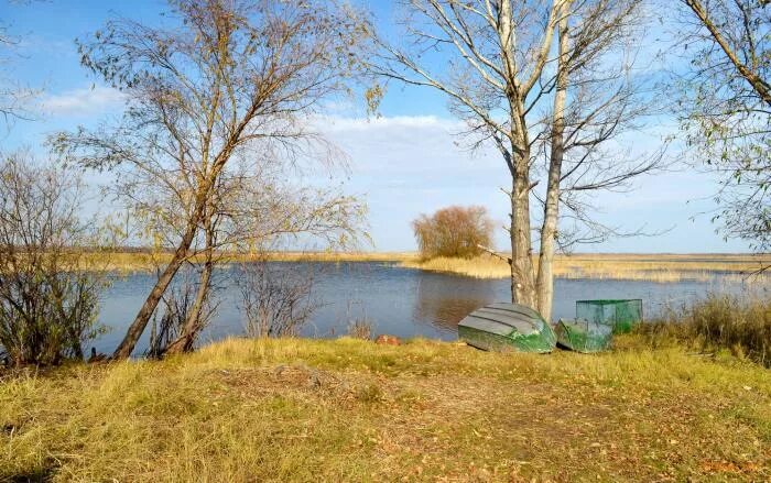 Вылково алтайский край. Село вылково. Дтп в тюменцевском районе за последнюю неделю алтайский край. Погода в вылково тюменцевского алтайского края. Тюменцевский сельсовет.