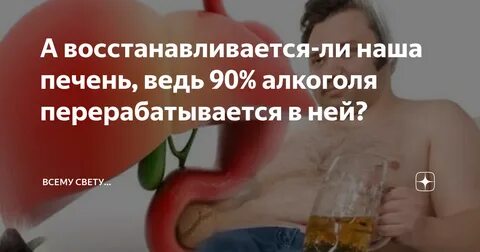 За сколько дней восстанавливается печень