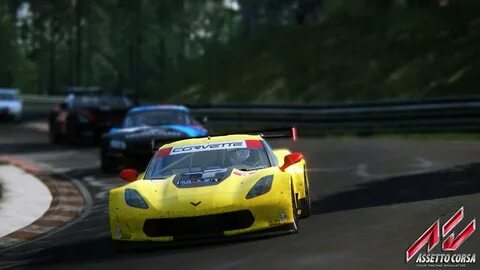 Assetto corsa has crashed