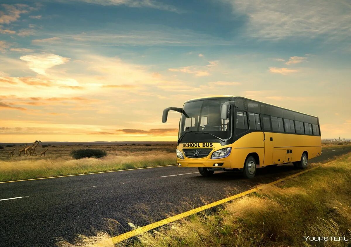 Картинка едет автобус. Mercedes-Benz Tourismo. Mercedes Benz Bus. Даймлер Бенц автобус. Мерседес Бенц 917.