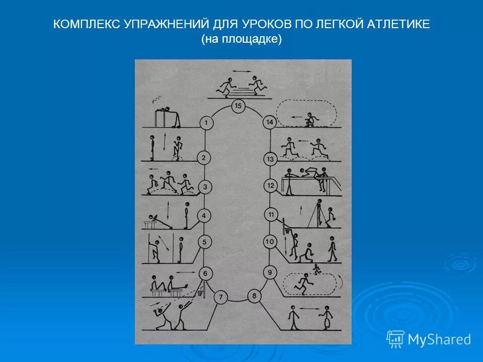 Круговая тренировка 10 упражнений. Комплекс упражнений для уроков по легкой атлетике.. Комплекс круговой тренировки легкоатлета. Круговая тренировка на уроках легкой атлетики. Комплекс упражнений для круговой тренировки легкая.