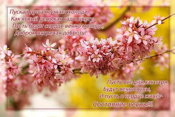 счастья здоровья тепла. пусть на душе всегда будет весна в любое время года. весна в душе стихи. а в душе всегда царила. пусть в душе всегда цветет весна.