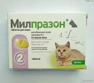 Какое средство от глистов для кошек