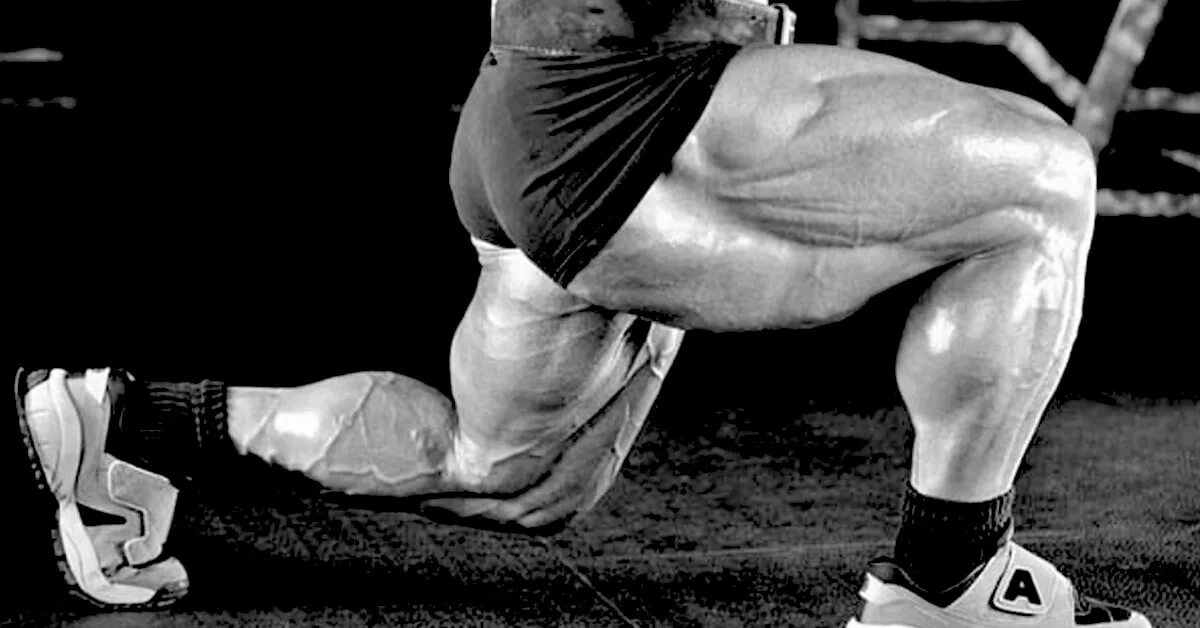 Какая нога сильнее. Том Платц ноги. Том Платц Workout. Том Платц Leg Training. Мощные ноги.