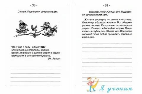 Задания спиши текст 3 класс