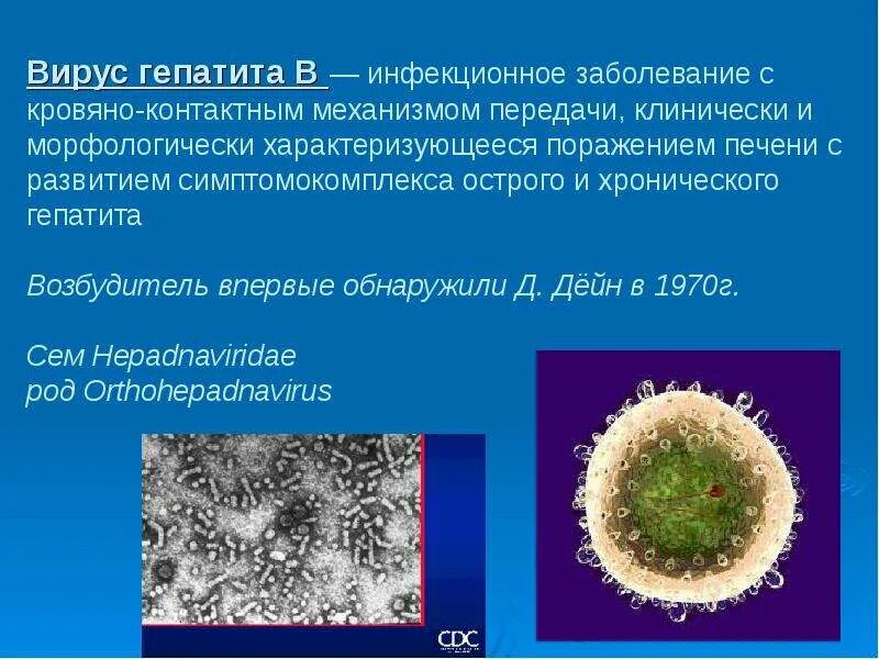 Новый вирусный гепатит. Вирус гепатита б инфекционного. Вирус гепатита с возбудитель. Вирусный гепатит а возбудитель. Гепатит б возбудитель.