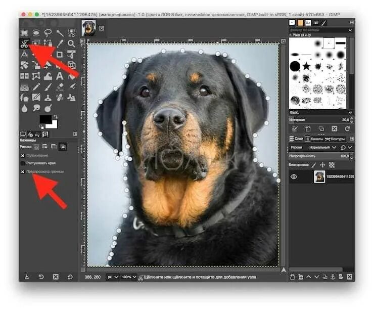 Как удалить фон в гимп. Вырезать фон в gimp. выделение объектов в gimp. как отделить картинку от фона. убрать фон в гимп.