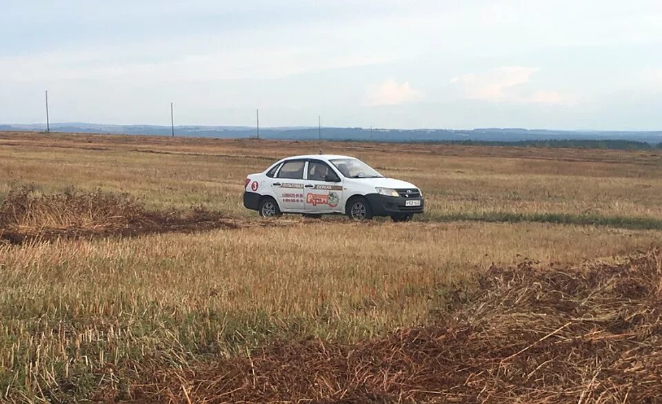 охраняемое поле. охрана поля. охранник в поле. маковые поля в афганистане. сенокос в тоскане.