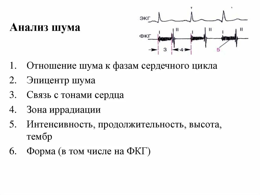 Сердечные тоны шумы. Аускультация тоны сердца ФКГ. Виды шумов сердца. Шумы сердца классификация. Тоны и шумы сердца.