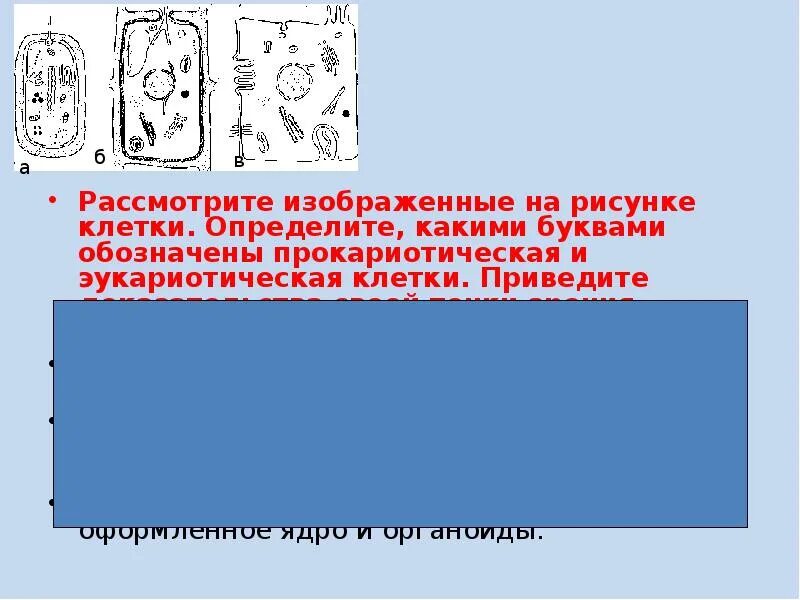 Рассмотрите рисунок для каждой ячейки обозначенной буквой