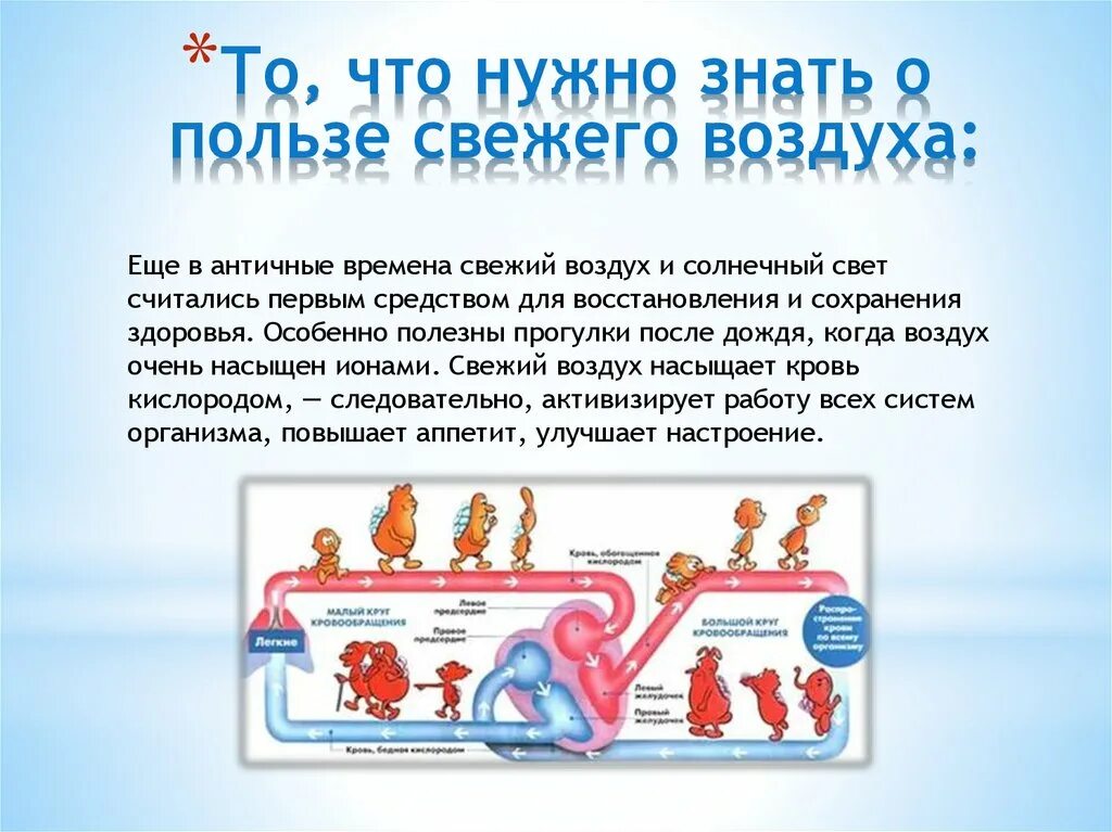 Пешие прогулки полезны для здоровья. Польза воздуха для организма. Польза занятий на свежем воздухе. Гулять на свежем воздухе полезно. Чем полезен свежий воздух.