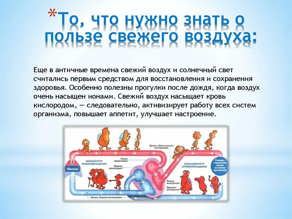 Воздух польза для здоровья. Польза воздуха. Польза свежего воздуха. Польза воздуха для человека.