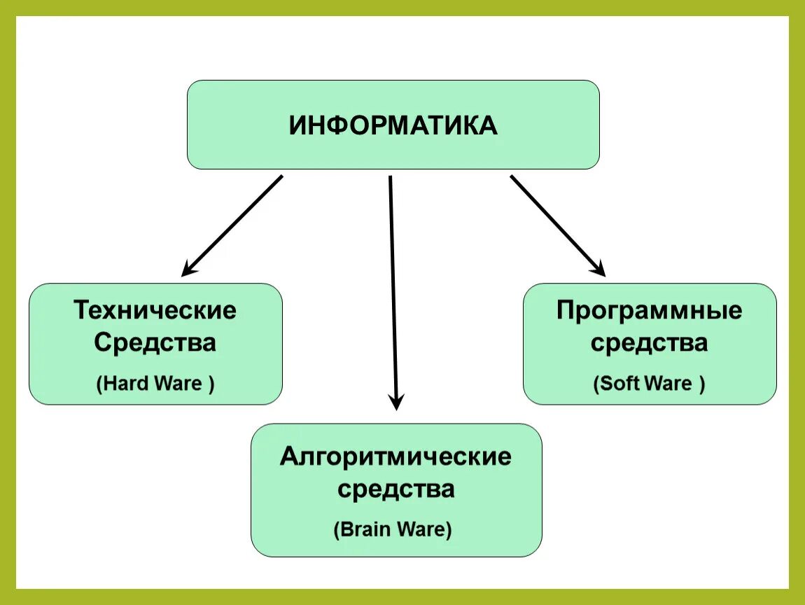 Технические средства информатики. Технические средства это в информатике. Информатика ветка. Что такое ветвь в информатике.