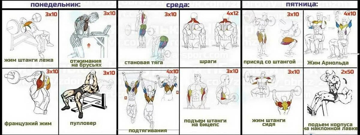 План качка. План тренировок в тренажерном зале для мужчин 3 раза в неделю. Схема тренировок в тренажерном зале для мужчин 3. Схема тренировок для набора мышечной массы. Программа тренировок в тренажерном зале для мужчин новичков.