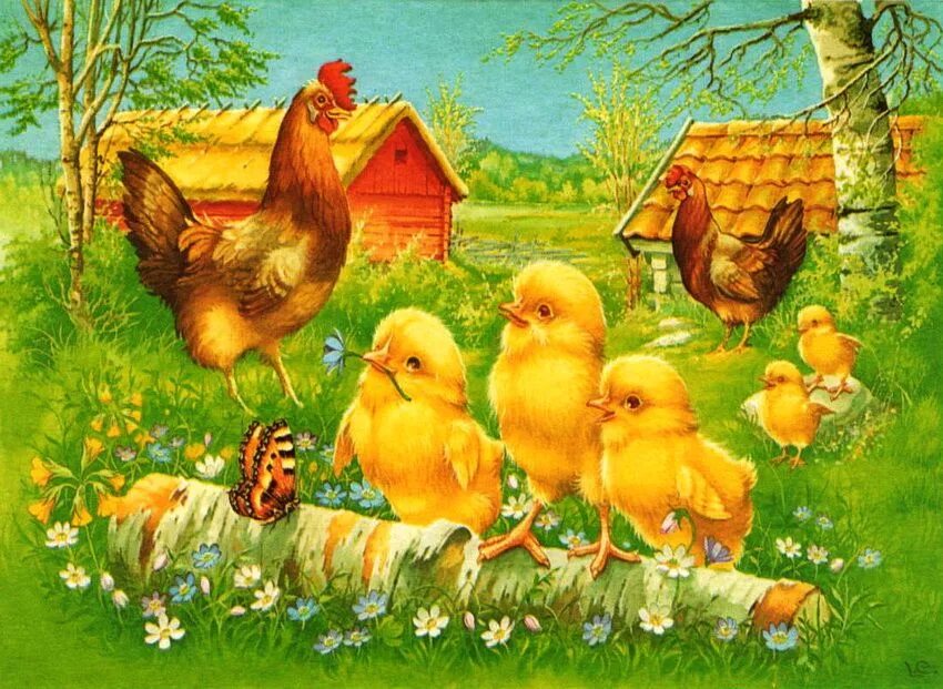 Домашние птицы ранний возраст. Занятие "Курочка и цыплята" Бондаренко. Курица с цыплятами. Курочка с цыплятами. Курочка с цыплятами для детей.