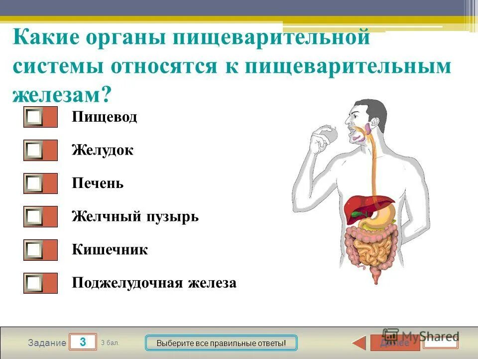 Зачёт по биологии 8 класс пищеварительная система с ответами. Пищеварительная система 9 класс проверочная работа. Тест 7 по биологии 8 класс пищеварительная система. Тест по пищеварительной системе. Задания по теме пищеварение 8 класс биология.