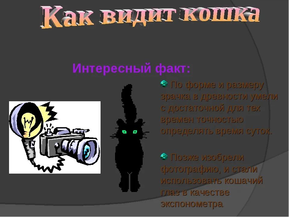 Интересные факты о физиках. Интересные факты по физике в картинках. занимательно о физике. физика и техника интересные факты. интересные факты оптики физика.