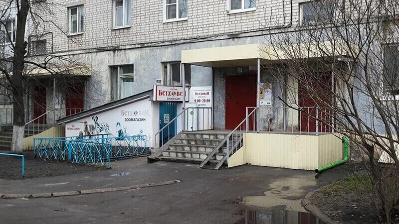 Энтузиастов курск. Улица димитрова 71 курск. ул. димитрова, 71 зоомагазин. больница на дружбе курск. бетховен димитрова зоомагазин.