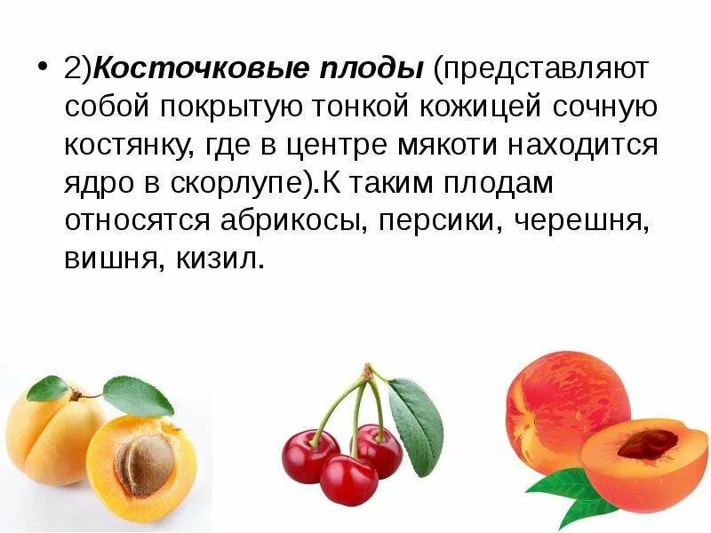 Отошли вишня черешня персики и абрикосы