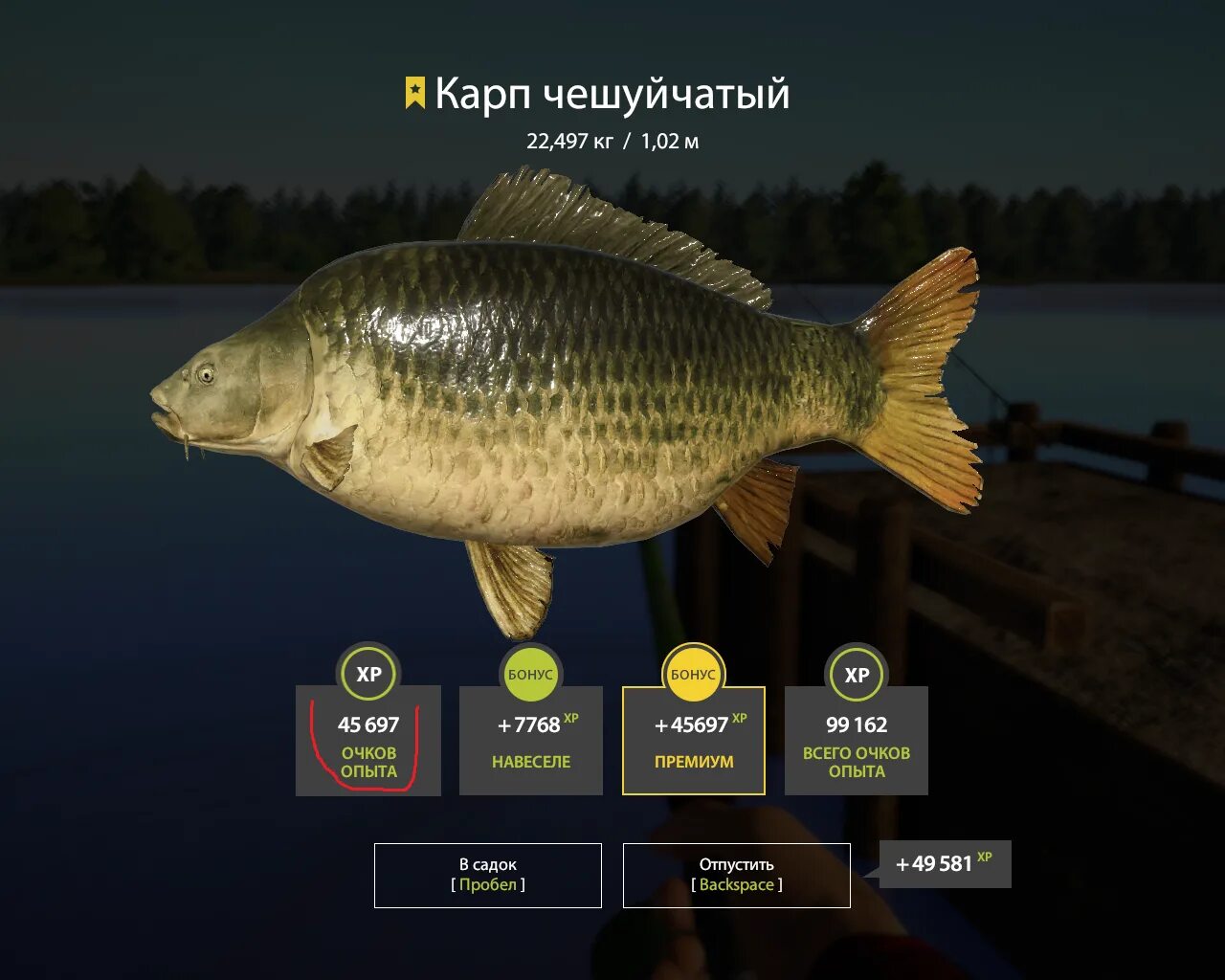 рыба из семейства карповых 4 буквы. карповый 4 буквы. хищник семейства карповых. пресноводная рыба семейства карповых 4 буквы. сборки в русской рыбалке 4.