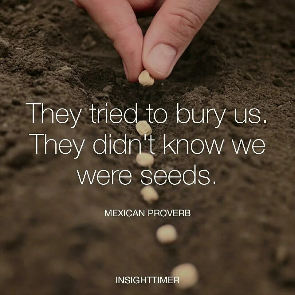 You didn t know текст. To Bury. To Bury слайд. They tried to Bury us they didn't know we were Seeds. Things they didn t know.
