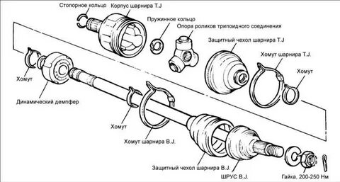 Как устроен ее
