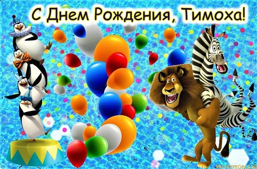 С днем рождения тимоха. С днем рождения тимоха. Поздравления с днём рождения тимофея. С днем рождения тимоха. Поздравления с днём рождения тимофея.