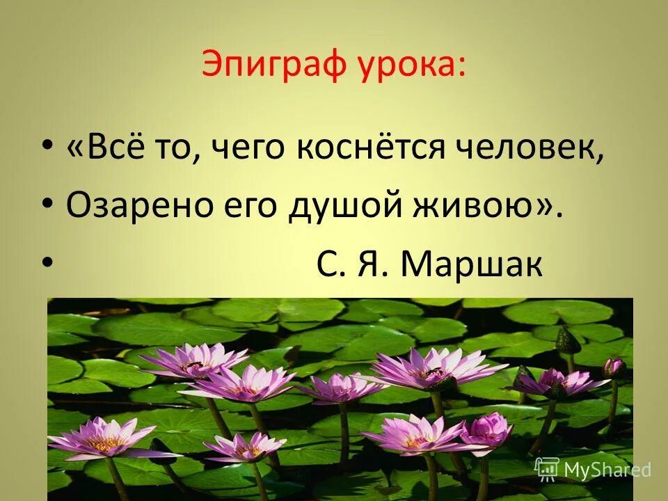 Все то чего коснется человек. Темы эссе по философии для студентов. Температура тела таракана. Нᴇ довᴇᴘяй никᴏмʏ, и никто тᴇҕя нᴇ пᴘᴇдᴀᴄт. Все то чего коснется человек.
