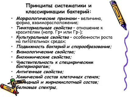 Таксономия и классификация микроорганизмов