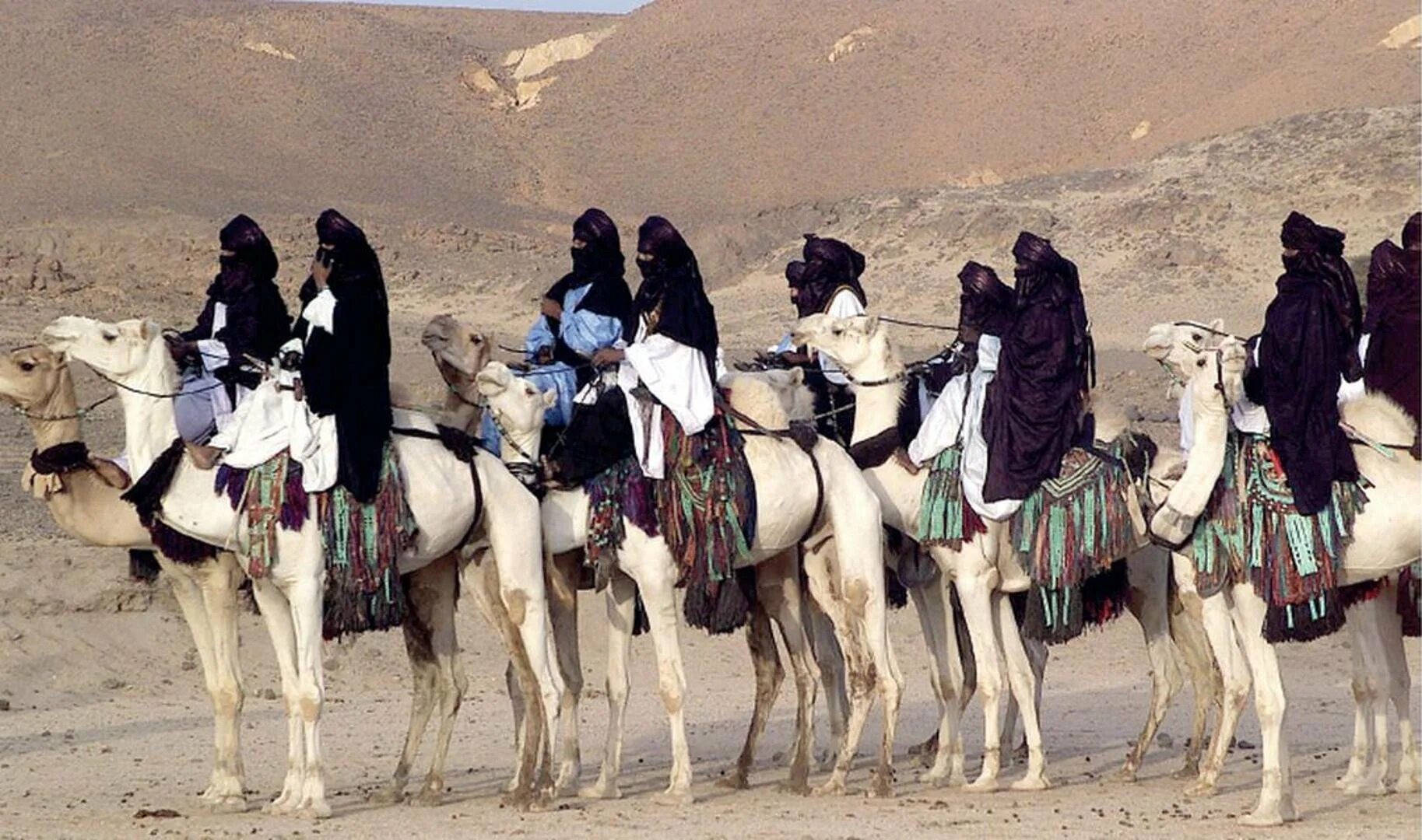 Кочевники ливии. Кабилы алжир берберы. Культура ливии. Народы населяющие страну их основные занятия ливия. Арабы алжира.