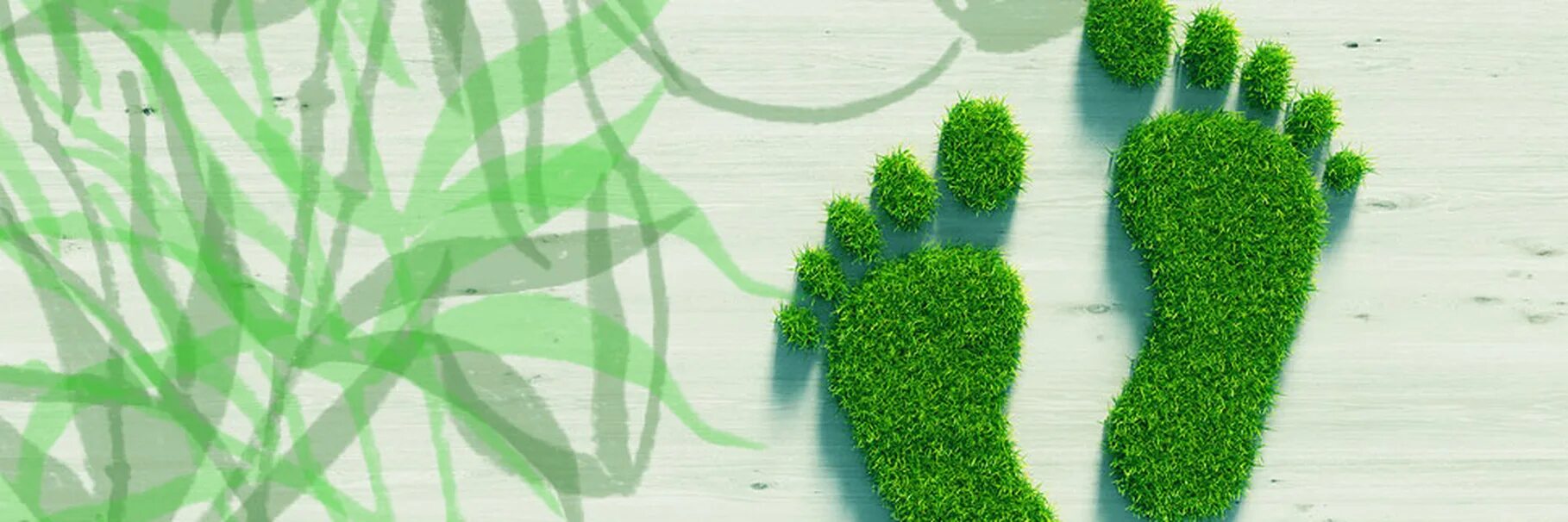 Проект углеродный след. Экологический след. Углеродный след человека в деревьях. Eco footprint. Экологический след картинки.