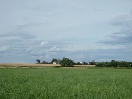Село поле страна