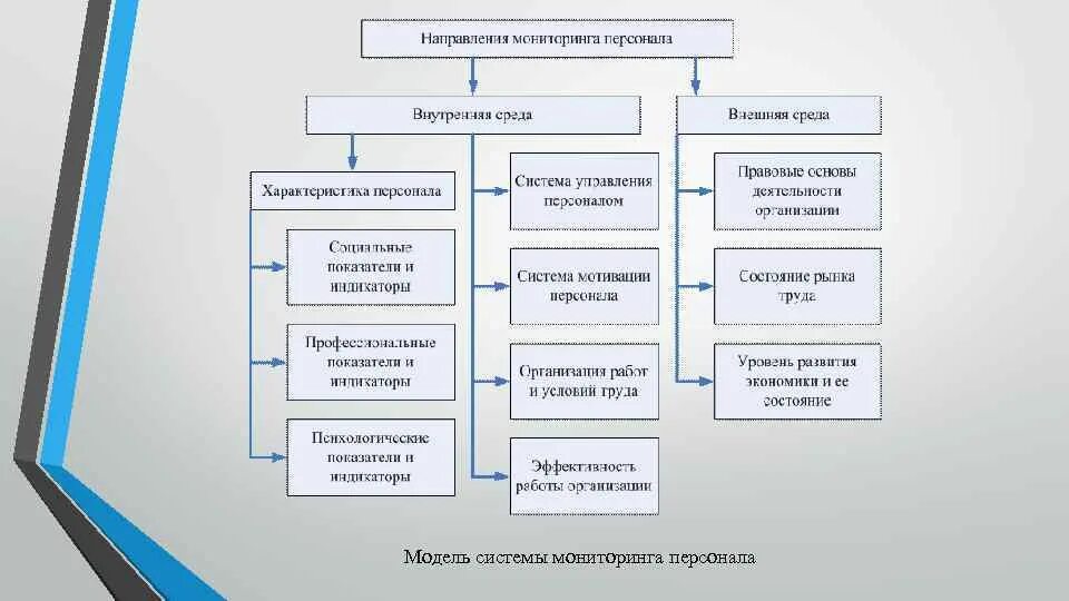 Система контроля персонала на предприятии. Система мониторинга персонала. Организация системы мониторинга. Схема контроль персонала.