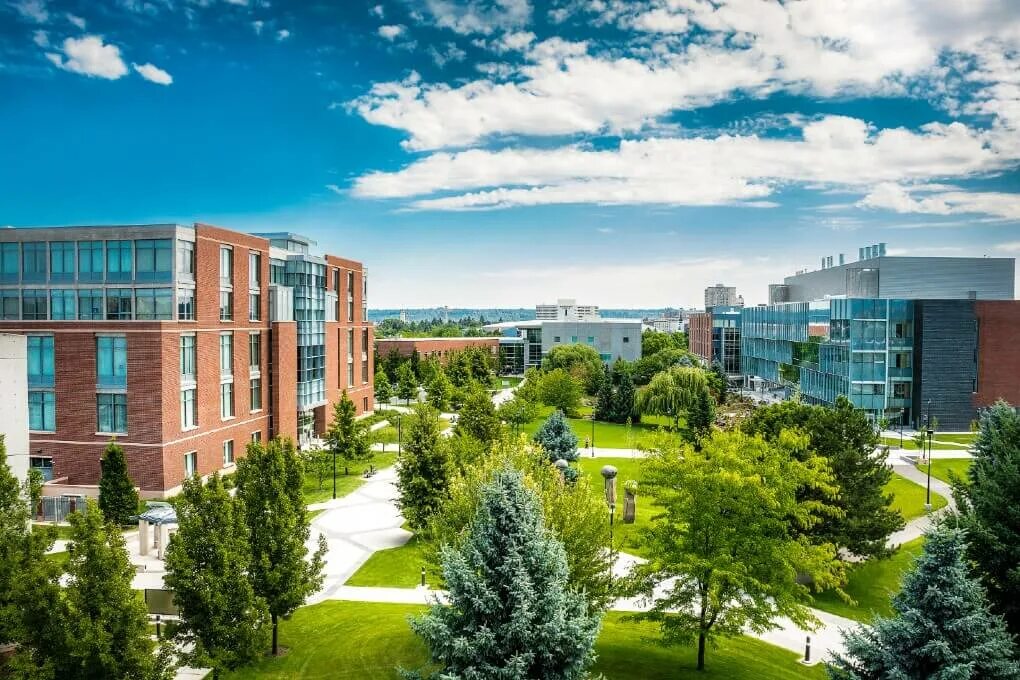 Washington State University, университет Washington State University. Университет штата Вашингтон Пулман. Университет штата Вашингтон Пулман Biotechnology. Washington State University факультеты. Edu university