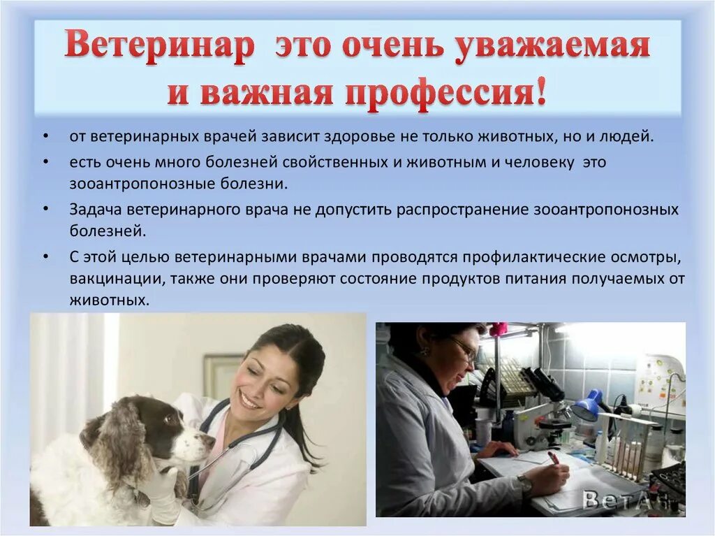 Какого работать ветеринаром. Профессия ветеринар. Профессия врач ветеринар. Профессия ветеринар презентация. Ветеринар презентация для детей.