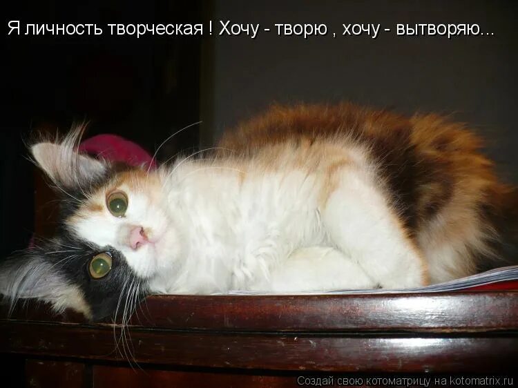 творю или вытворяю. я творческая личность. я личность творческая хочу творю хочу вытворяю. мое последнее слово. я творец или творюга.