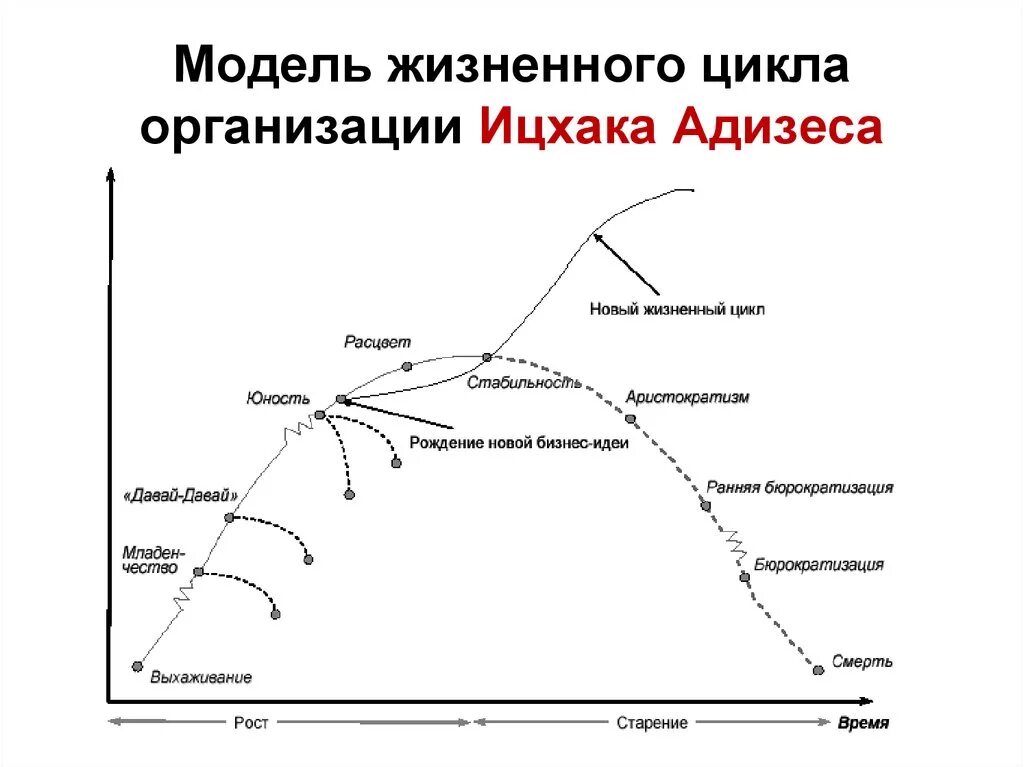 Ицхак Адизес стадии жизненного цикла организации. Этап жизненного цикла организации по модели Ицхак Адизес. Ицхак Адизес модель жизненного цикла. Ицхак Адизес циклы жизни компании.