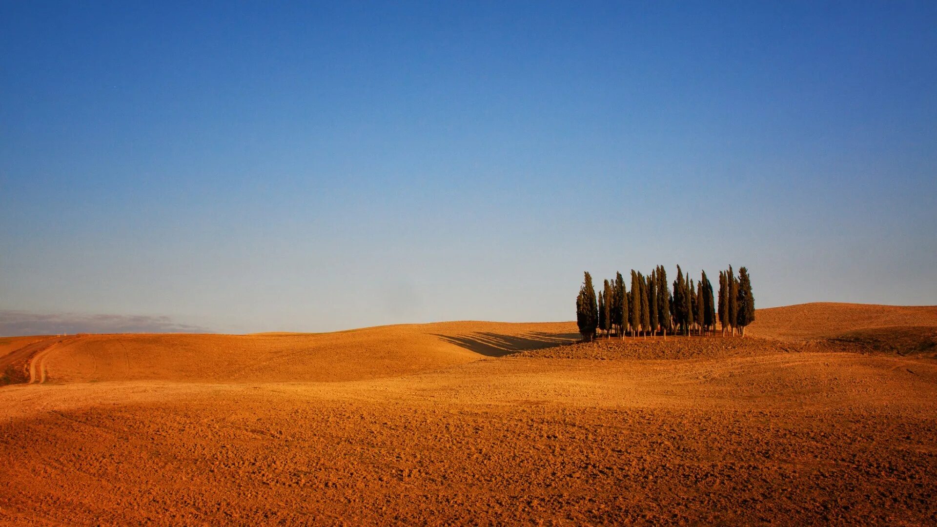 Picture land