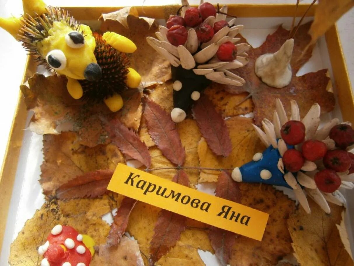 Осенние поделки названия работ. Название осенних поделок в детском саду. название осенние фантазии. поделки на осенний бал с названиями.