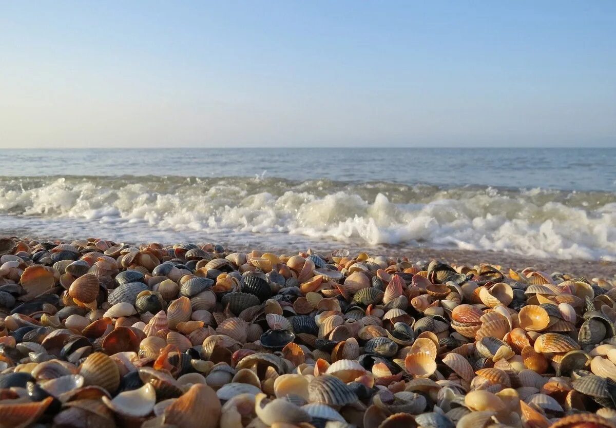 Коса джим азовское море. Азовское море дагестан. Коса долгая станица должанская. Азовский залив таганрог. Азовское море азовская 13.