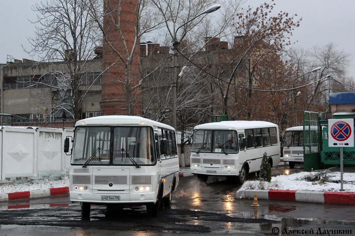 Воронеж 136 Воронеж ПАЗ 32054. ПАЗ 32054 Воронеж. Автобус 136. 136 Воронежская область.