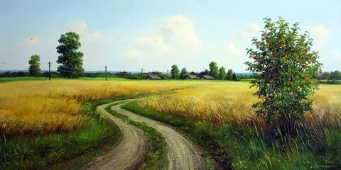 Сережа и поле