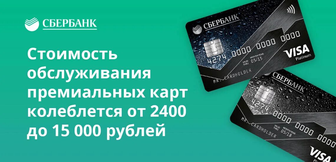 Обслуживание карты. Годовое обслуживание карты Сбербанка. Виды сбербанковских карт и их стоимость обслуживания. Стоимость обслуживания карты Сбербанка.